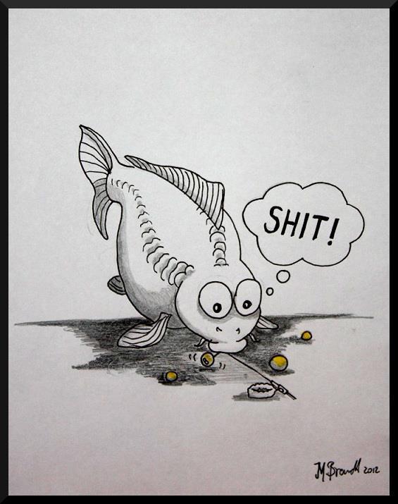 Carptoon - 3696507693212593596470518399n.jpg